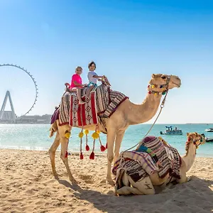 The Ritz-carlton, Resort
